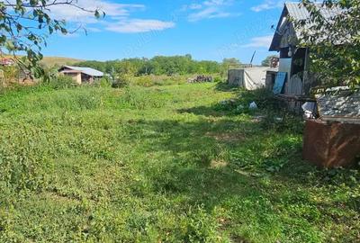 Teren de 2300 mp, în Borșa - 7