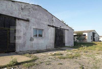 Teren de 950000 mp, în Iosefin - 8