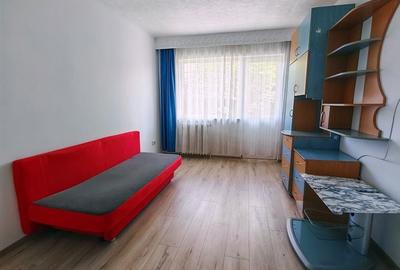 Apartament cu 2 camere semidecomandat în Cetate - 2