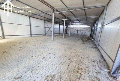 De inchiriat hale ?i showroom in Lugoj - 2