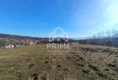 Teren de 2950 mp, în Pâclișa - 1