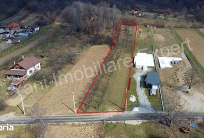 Teren de 2172 mp, în Albești - 6