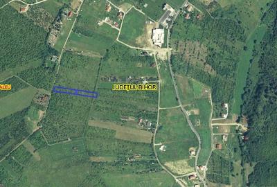 Teren Construcții intravilan de 1239 mp, în Săldăbagiu de Munte - 7