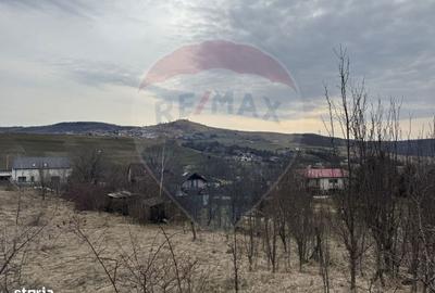 Spațiu comercial, în Sălicea - 15