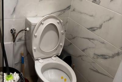 Garsonieră în Narcisa - 4