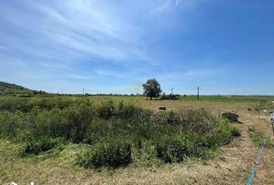Teren de 14500 mp, în Central - 5