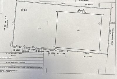 Casă individuală cu 11 camere cu Canalizare în Iancu Nicolae - 9