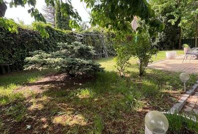 Casa de inchiriat Zona Boreal - 9