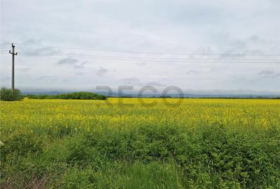 Reco, teren intravila la E60 sacadat - 1