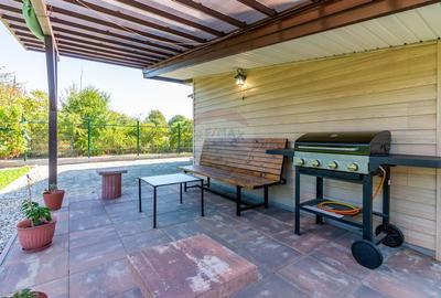 Casa de vanzare cu teren 1500mp Snagov / Padure si lac la cativa pasi Casa de vanzare cu teren 1500mp Snagov / Padure si lac la cativa pasi - 20