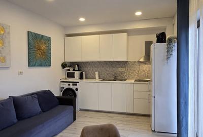 Apartament cu 2 camere decomandat, mobilat în Parcul Carol - 3