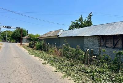 Casa de vanzare Casa de vanzare - 4