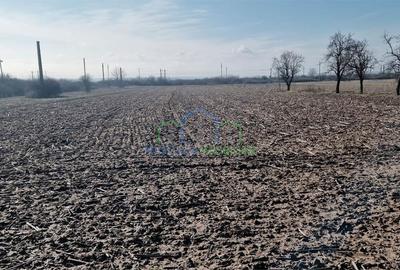 Casă cu 3 camere în Brădești - 3