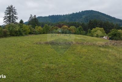 Spațiu comercial, în Poiana Angelescu - 1