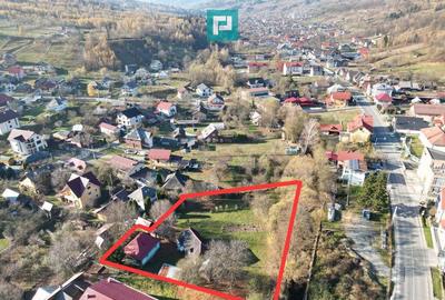 Casa de lemn, cu teren in Bor?a - 7