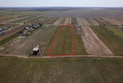 Adunatii Copaceni - Troitei | teren 6 525 mp | zona in dezvoltare - 6