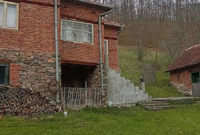 Casă cu 4 camere în Densuș - 8