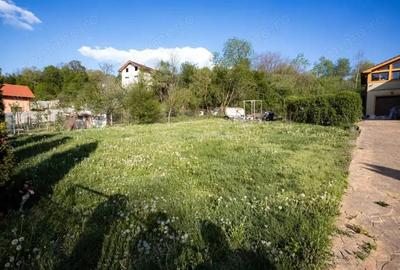 Casă cu Teren 2595 Mp în Calea Caransebeșului - 4