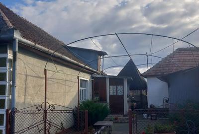 Vand casa Cociuba Mare Bihor - 3