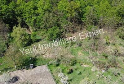 Teren de 1267 mp, în Băiculești - 3