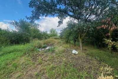 Casa cu anexe si teren de 959 mp de vanzare in Tinca - Bihor - 39