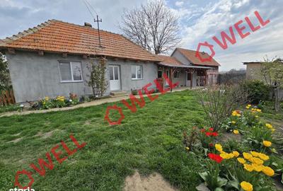 Casă cu Teren 1493 Mp în Ozun - 10