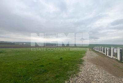 Teren De Vanzare I Moara, Suceava I Preț: 45.000 Euro - 2