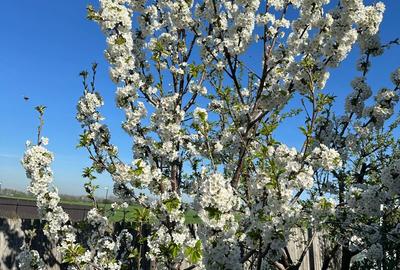 Casa de vanzare, in Slobozia, cartierul Peri - 2