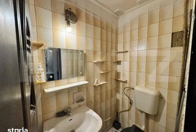 Apartament cu 4 camere decomandat în Valea Rosie - 11