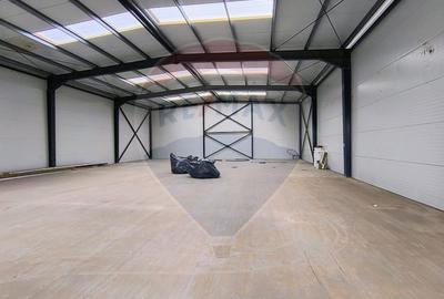 Spațiu industrial, de 599 mp, în Cernica - 5
