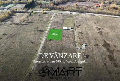 Teren 500 mp Valea Avrigului - 1