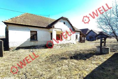 Casă cu 3 camere cu Teren 2407 Mp în Peteni