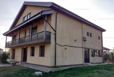 Vila P 1 M Cazasu 510mp construiti si teren 3774 mp - 18