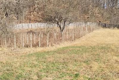 Casă cu Teren 3845 Mp în Leordeni - 4