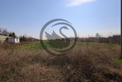 Teren Construcții intravilan de 7800 mp, în Târgșoru Nou - 3