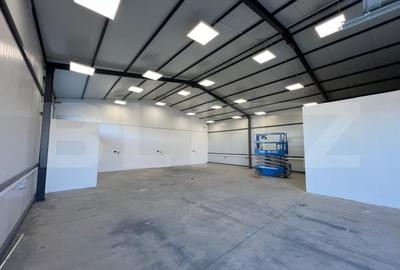 Hala 290,6 mp si 1263 mp teren, zona Carcea - 10