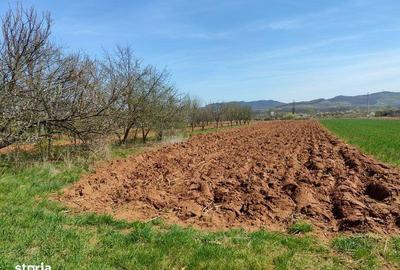 Casă cu 4 camere cu Teren 300 Mp în Central - 1