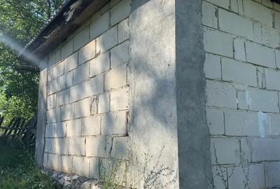 Casa cu teren ,Camp Mo?i, jude?ul Bihor - 3