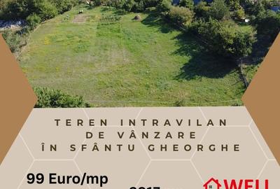 Teren intravilan de vânzare în Sfântu Gheorghe, str. Pădurii - 1