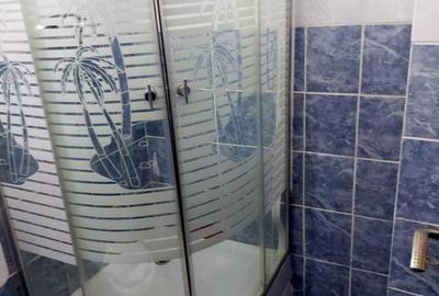 Apartament cu 3 camere decomandat, mobilat în Timpuri Noi - 7