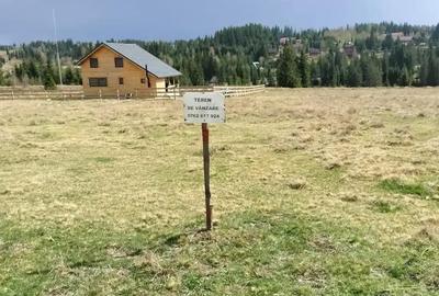 Teren de 1000 mp, în Beliș - 6