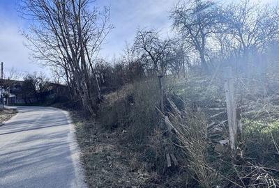 Spațiu comercial, în Central - 1