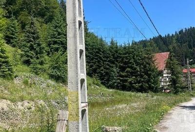IDEAL INVESTITIE TEREN PREDEAL, 1936 mp intravilan, toate utilitatile, padure - 6