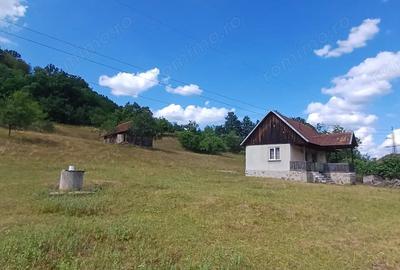 Vand Proprietate (casa, ?ura ?i teren) in Valea Bradului, Mun. Brad, Jud. Hunedoara - 1