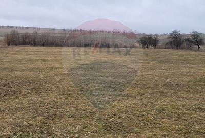 Teren agricol intravilan de 2592 mp, în Lipoveni - 20