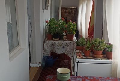 Vanzare casa 3 cam,baie,bucatarie, teren 2500mp in Bujoreni Alexandria Teleorman - 11