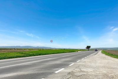 Teren Industrial - 6