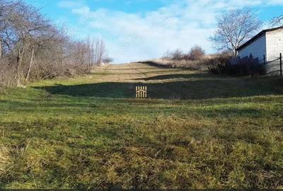 Teren Intravilan 2460 mp Suceava De Vanzare 0727817187 - 3