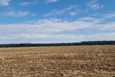 Teren extravilan Branesti, ID: R2649181 - 1