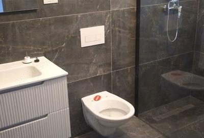 Casă cu 4 camere în Sânandrei - 9